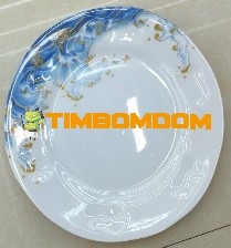 Plastic Plate 11 Inch - TBD1187978.jpeg