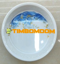 Plastic Bowl 8 Inch - TBD1187985.jpeg