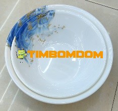 Plastic Bowl 9 Inch - TBD1187989.jpeg