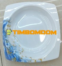 Plastic Plate 8.5 Inch - TBD1187991.jpeg