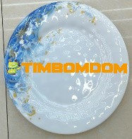 Plastic Plate 10.5 Inch - TBD1187994.jpeg