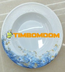 Plastic Plate 10 Inch - TBD1187996.jpeg