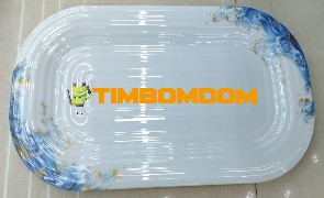 Plastic Plate 16 Inch - TBD1187999.jpeg