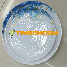Plastic Plate 9 Inch - TBD1188004.jpeg