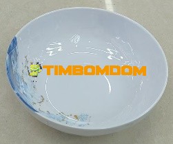 Plastic Bowl 8 Inch - TBD1188006.jpeg