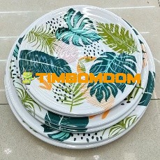 Plastic Plate 11 Inch - TBD1188040.jpeg