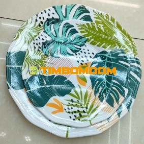 Plastic Plate 10 Inch - TBD1188043.jpeg