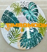 Plastic Plate 10.5 Inch - TBD1188044.jpeg