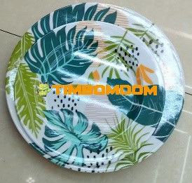 Plastic Plate 10 Inch - TBD1188046.jpeg