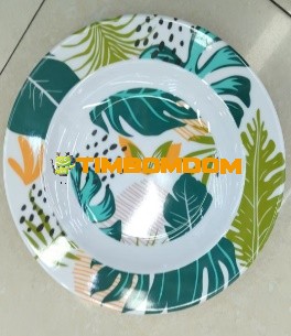 Plastic Plate 11 Inch - TBD1188051.jpeg
