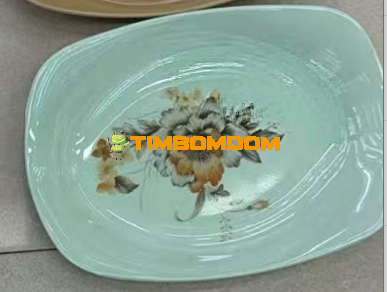 Plastic Plate 10 Inch - TBD1188053.png
