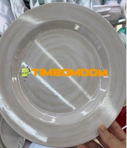 Plastic Plate 10.75 Inch - TBD1188068.jpeg