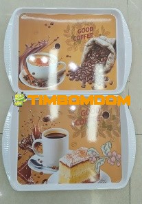 Plastic Plate 17.75 Inch - TBD1188099.jpeg