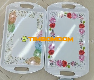 Plastic Plate 22 Inch - TBD1188103.jpeg