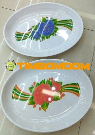 Plastic Plate 15 Inch - TBD1188104.jpeg