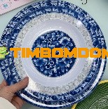 Plastic Plate 10 Inch - TBD1188147.jpeg