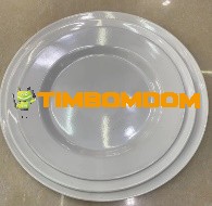 Plastic Plate 8 Inch - TBD1188148.jpeg