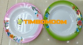Plastic Plate 9 Inch - TBD1188158.jpeg