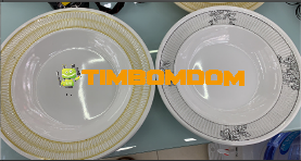 Plastic Plate 10 Inch - TBD1188166.png