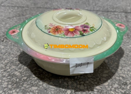 Plastic Bowl with lid 9 Inch - TBD1188213.jpeg
