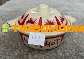 Plastic Bowl with lid 9 Inch - TBD1188223.jpeg