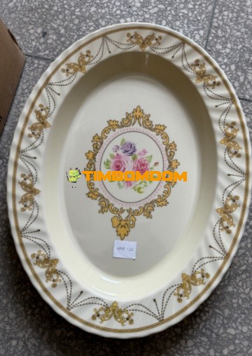 Plastic Plate 22 Inch - TBD1188258.jpeg