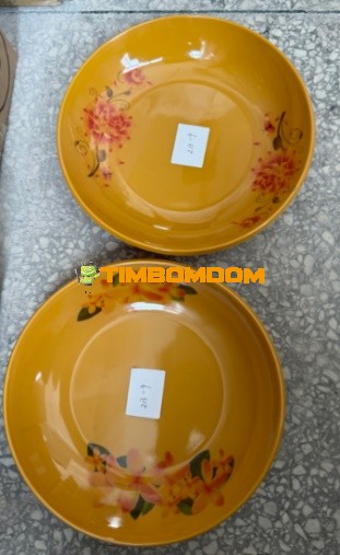 Plastic Plate 9 Inch - TBD1188259.jpeg