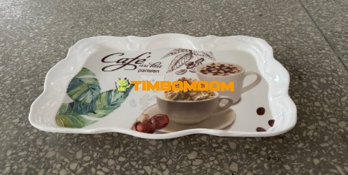 Plastic Plate 15 Inch - TBD1188261.jpeg