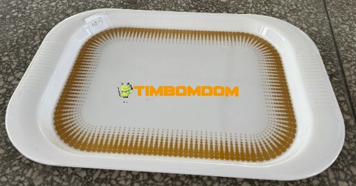 Plastic Plate 17 Inch - TBD1188262.jpeg