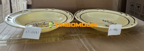 Plastic Bowl 8.5 Inch - TBD1188267.jpeg