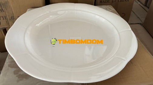 Plastic Plate 16 Inch - TBD1188268.jpeg