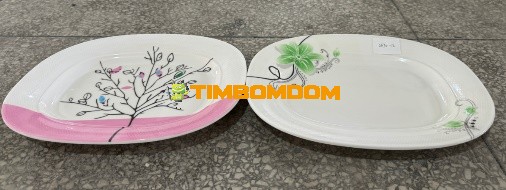 Plastic Plate 12 Inch - TBD1188271.jpeg