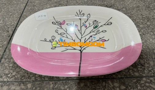 Plastic Plate 14 Inch - TBD1188272.jpeg