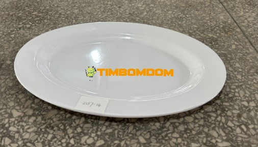 Plastic Plate 14 Inch - TBD1188274.jpeg