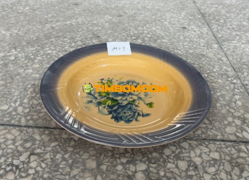 Plastic Plate 9 Inch - TBD1188275.jpeg