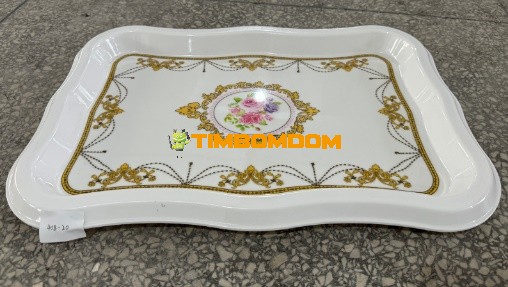Plastic Plate 20 Inch - TBD1188277.jpeg