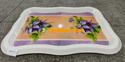 Plastic Plate 22 Inch - TBD1188278.jpeg