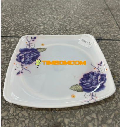 Plastic Plate 8.5 Inch - TBD1188280.png