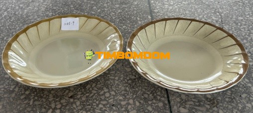 Plastic Plate 9 Inch - TBD1188281.jpeg