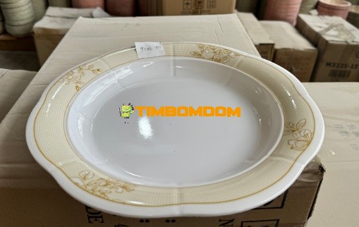 Plastic Plate 12 Inch - TBD1188283.jpeg