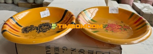 Plastic Plate 10 Inch - TBD1188284.jpeg