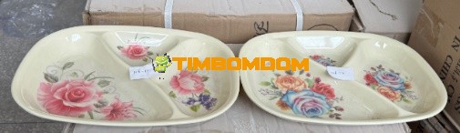 Plastic Plate 12 Inch - TBD1188285.jpeg