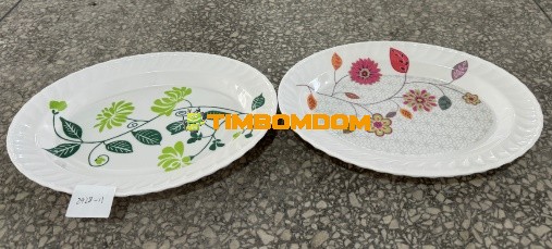 Plastic Plate 11 Inch - TBD1188290.jpeg