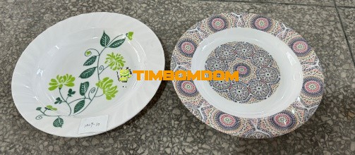 Plastic Plate 10 Inch - TBD1188291.jpeg