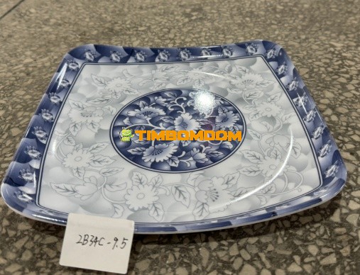 Plastic Plate 9.5 Inch - TBD1188295.jpeg