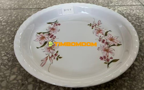 Plastic Plate 12 Inch - TBD1188296.jpeg