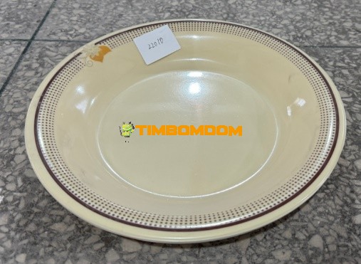 Plastic Plate 10 Inch - TBD1188298.jpeg
