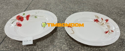 Plastic Plate 10 Inch - TBD1188299.jpeg