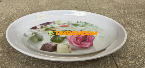 Plastic Plate 19 Inch - TBD1188300.jpeg