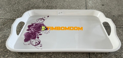 Plastic Plate 20.5 Inch - TBD1188303.jpeg